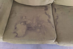 eliminar mancha sofá